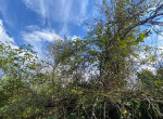 IMG-20251003-WA0015