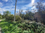 IMG-20251003-WA0019